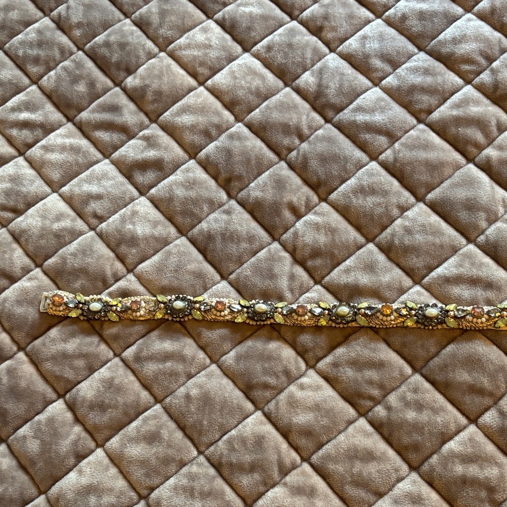 Anthropologie Gold and Brown Women's Belt
